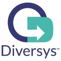 diversys software, inc. logo image