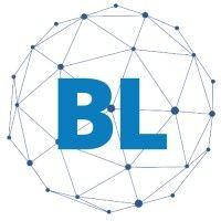 biz leadz logo image