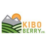 kiboberry ltd. logo image