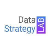 data strategy lab logo image