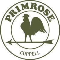 primrose school of coppell logo image