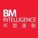 logo of Bm Intelligence Group