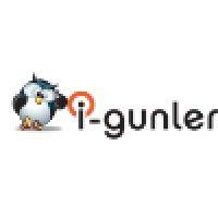 i-gunler.com logo image