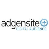 adgensite digital audience - stratégie digitale, webmarketing, seo - sem - smo - trafic analysis logo image