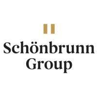 schönbrunn group logo image