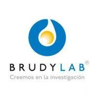 brudylab logo image