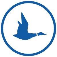 blue duck logo image