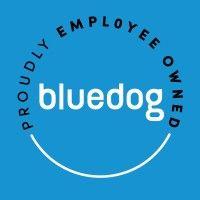 bluedog logo image