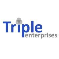 triple enterprises logo image