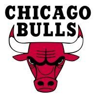 chicago bulls logo image