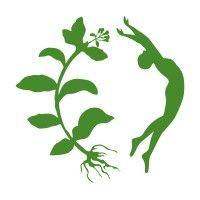 festevia logo image