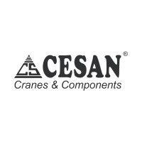 cesan cranes & components logo image