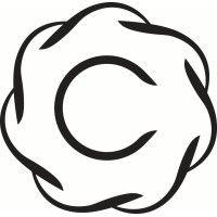 carlisle design studio ltd logo image