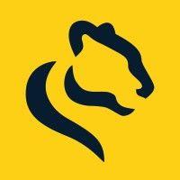 panthera logo image