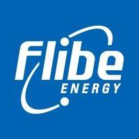 flibe energy logo image