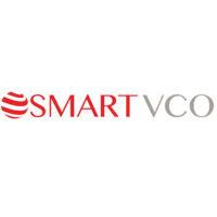 smart vco consulting logo image