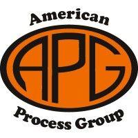 american process group logo image