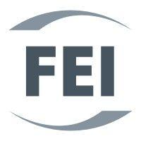 fei group logo image