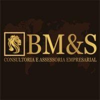 bm&s consultoria e assessoria empresarial