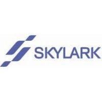 skylark digital logo image