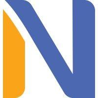 netrist solutions logo image