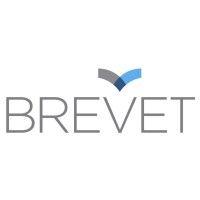 the brevet group logo image