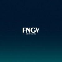 fngv advogados logo image