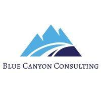 blue canyon consulting inc. logo image