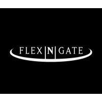 flex n gate grupo méxico