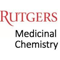 medicinal chemistry, ernest mario school of pharmacy, rutgers university-new brunswick logo image