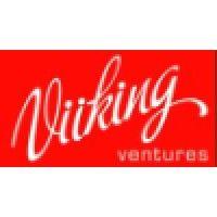 viiking ventures pvt. ltd. logo image