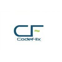 codeflix technologies pvt. ltd. logo image