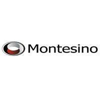 montesino associates logo image