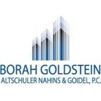 borah, goldstein, altschuler, nahins & goidel, p.c. logo image