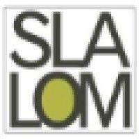 slalom logo image