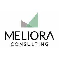 meliora consulting group, inc. logo image