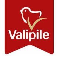 valipile d.o.o. logo image