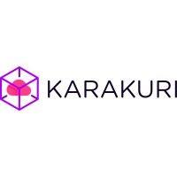 karakuri - growth & bi firm logo image