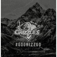 utah grizzlies logo image