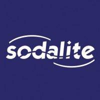 sodalite creative - category performance maximisation for your fmcg brands logo image