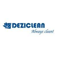 deziclean logo image