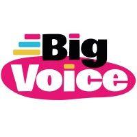 big voice ltd logo image