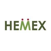 hemex logo image