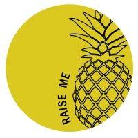 raise me logo image