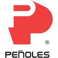 penoles industries logo image