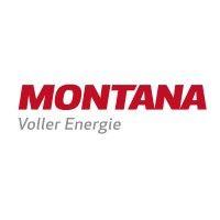 montana logo image