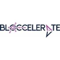 bloccelerate vc logo image