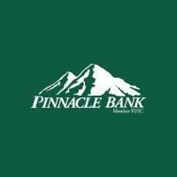 pinnacle bank logo image