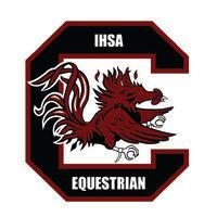 university of south carolina ihsa equestrian team logo image