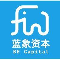 blue elephant capital 蓝象资本